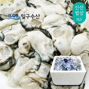 [믿고 먹는][일구수산]싱싱한 통영 생굴 1, 2, 3kg / 당일작업 /산지/굴수하식수협38번