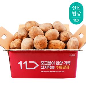 [품질보장] 노지재배 감자 5kg 특크기