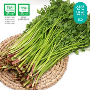 [품질보장]무농약 청도 한재미나리 1kg / 산지직송 / 깔끔한 선별 / 지금이 제철 !!