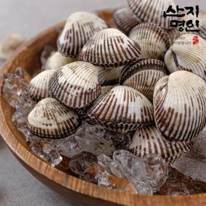 [산지명인] 당일채취 산지 벌교 (상) 새꼬막 1kg (90미 내외)