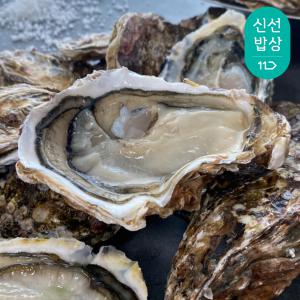 [품질보장]이순신수산 통영 삼배체 석화 2kg [1인,  5-10미]