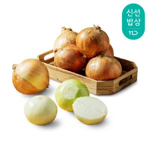 [품질보장] 무안 초신선 햇 양파 (대) 3kg / 12-16개