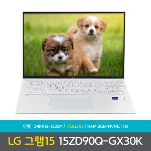 LG전자 LG그램 15ZD90Q-GX30K 램8GB+NVMe1TB 노트북 NN