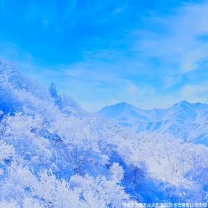 [KTX] 덕유산 상고대눈꽃여행 향적봉곤도라 하늘물빛정원 당일코레일기차여행