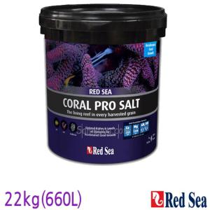 레드씨 red sea 코랄프로 해수염 22kg (660L) 해염