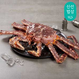 [품질보장] 청년킹크랩 라이브 레드 킹크랩 빅사이즈 2.8~3kg