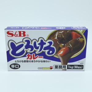 에스앤비 업소용 대용량 토로케루카레 매운맛 1kg