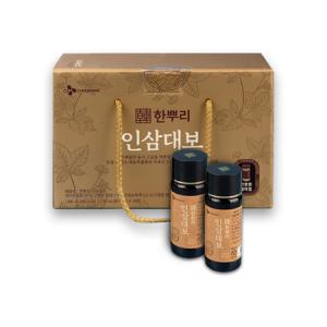 CJ 한뿌리 인삼대보 병 100ml 10입 (1박스)