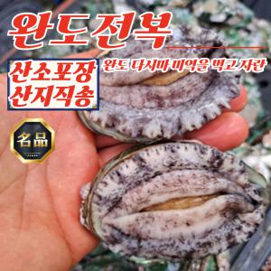 완도 산지 특대전복 9-10미 1kg