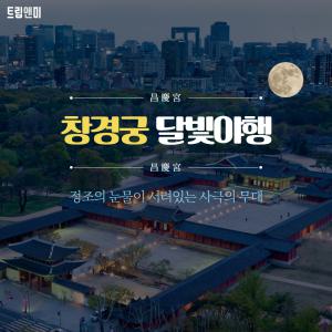 [반일][서울창경궁 달빛야행] 정조의 눈물이 서려있는 사극의 무대  / 창경궁 문화해설투어 도보 역사 교육 여행