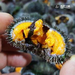 참다른 산지직송 자연산 말똥 성게알 100g