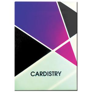 카디스트리V2 Cardistry 마술 카드 매직 용품 도구 선물 이벤트 바이시클