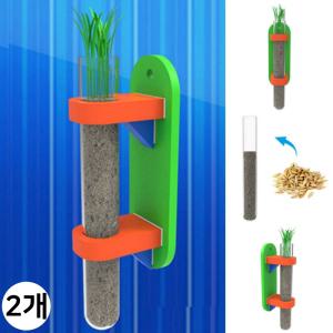 씨앗발아 시험관 벽걸이화분 만들기 외떡잎 식물관찰 성장기록 싹틔우기 화분 (보리 2인용)