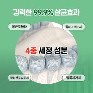 폴리덴트 5분 퀵플러스 틀니세정제 48정 세척케이스 의치세척솔 증정 기획세트