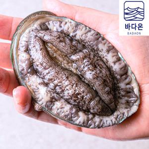 [입점행사]완도활전복 9-10미 1kg(마리당100g내외) [산소팩]