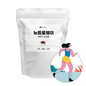 Be-V 유청단백 WPC 초코맛 분말 1.2kg