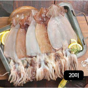 구룡포 반건조오징어 140g(2미)X10팩 (총 20미 1.4kg)