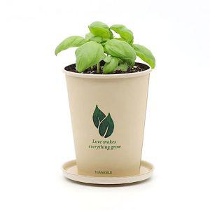 반려식물 화분재배키트 에코컵가든 식물키우기 (BH-GDN-ECOCUP)