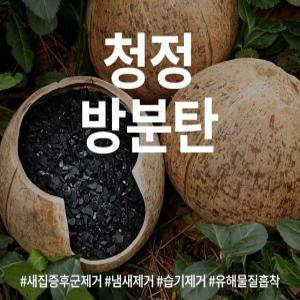 냉장고냄새제거 1kg 청정방분탄 화장실 탈취제 숯 습기 가구냄새제거 탈취 흡착 냉장고탈취