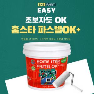 삼화페인트 홈스타파스텔 4L 무광 반광 유광 EASY 초보자도 OK