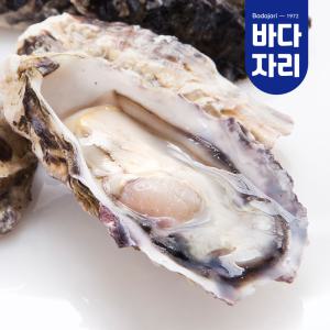 통영 제철 석화 하프셀 반각굴 3단 3.6kg 내외