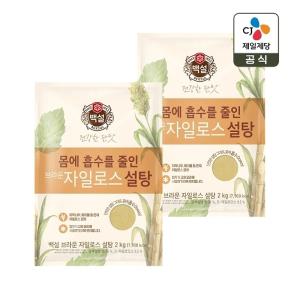 백설 브라운 자일로스 설탕 2kg x2개