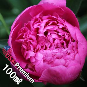 B011 피오니bbw 100ml (Peony BBW) 프래그런스오일  캔들 디퓨저 향수