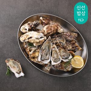 [품질보장] 당일 채취 후 발송 여수 석화 각굴 6kg