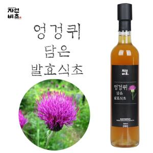 자연비초/엉겅퀴 담은 발효식초 500ml/엉겅퀴식초