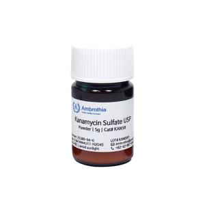 KAN5B 암브로티아 실험 항생제 Kanamycin Sulfate 5g 카나마이신 파우더 연구 시약 antibiotics Powder