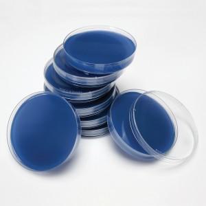 배양배지 (BHI Agar Plate) - 1개