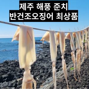 [정정해담] 제주 프리미엄 준치 반건조 오징어