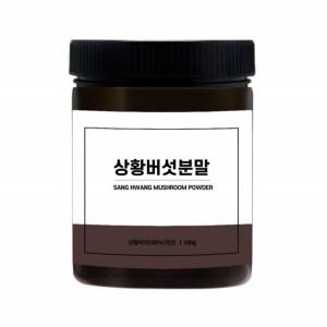 국내산 상황버섯 천연 상황버섯분말 100g 가루 파우더 똑템