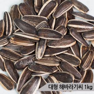 올블루 대형 해바라기씨 1kg 중대형 앵무새 햄스터