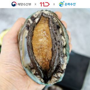 [은하수산] 산소포장 ASC인증 살아서 가는 완도 활 전복 1kg(12-14미)