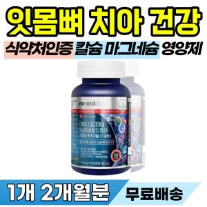 잇몸 재생 잇몸뼈 형성 칼슘 임플란트 후 치아 관리 영양제 내려앉음 시린 이 신경 치아 흔들림 이빨 흔들