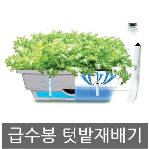 일반형 물 자동급수 텃밭 재배기 베란다 텃밭화분 새싹 채소 키우기