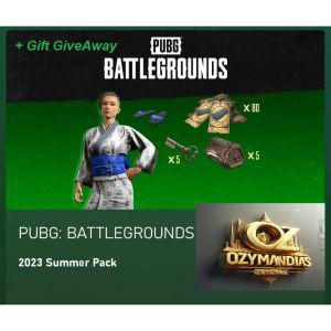 [관부가세포함] PUBG Battlegrounds PlayerUnknown's 여름 팩 2023 XBOX 독