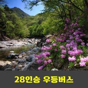 지리산노고단운해 일출 반야봉 뱀사골계곡 안내산악회