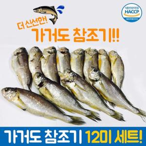 가거도 참조기 12미 19-22cm 청정지역 조기 조기구이