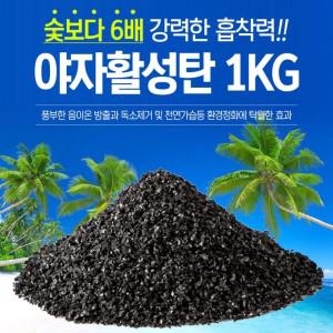 야자 활성탄1kg 베이크아웃 새집 숯 습기제거 원룸 화장실