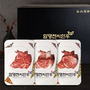 갤러리아 함평천지한우 1+ 구이선물세트 4호 등심/안심/채끝/특수부위 1.2kg