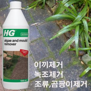 대리석 타일 바닥 외벽 이끼 제거용품 세정제 1000ML : 외벽 정원 마당 벽돌 테라스 이끼 녹조 제거 약품 클리너 녹색 곰팡이 녹조 제거제 조류 세척 청소  