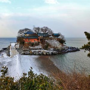 [충남] 보령/서산/태안 서해 겨울 맛여행(간월도/천북굴단지/보령해저터널/안면도) 당일여행 / 서울경기出