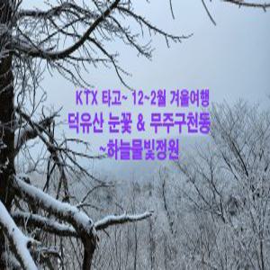 [KTX] 덕유산 눈꽃 곤돌라 / 무주구천동 & 하늘물빛정원 기차여행 (12~2월 당일)