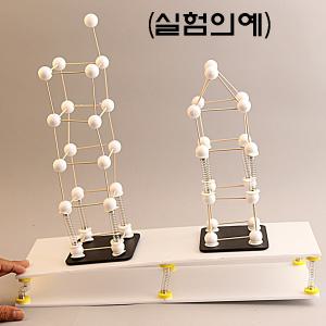 흔들림지진판만들기(5세트입)(MIR-3956)