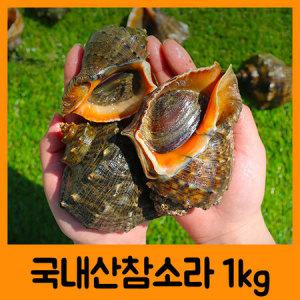 JKC 맛있는 자연산 참소라 1kg 초무침 숙회 구이