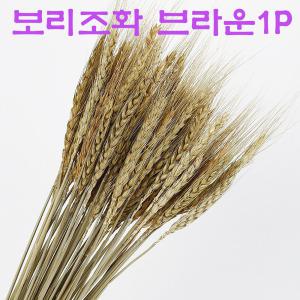 보리조화 황금보리 가을 장식 인테리어 소품 브라운1P