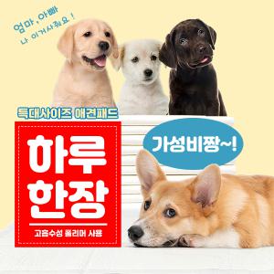 하루한장 대용량 애견패드 140cmx100cm/80매