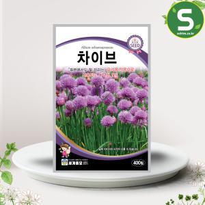 허브씨앗 차이브씨앗 400립 챠이브 허브씨